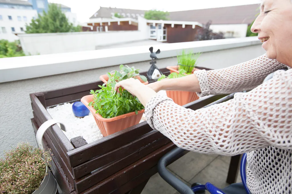 Bepflanzte Dachterrasse der Einrichtung