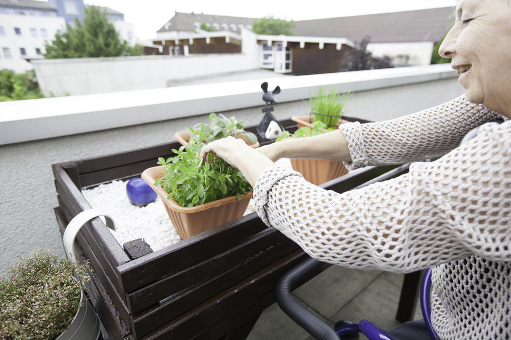 Bepflanzte Dachterrasse der Einrichtung